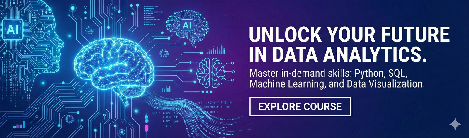 #1 Institute for Data Analytics